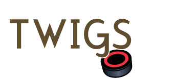 Little Twigs Hockey School